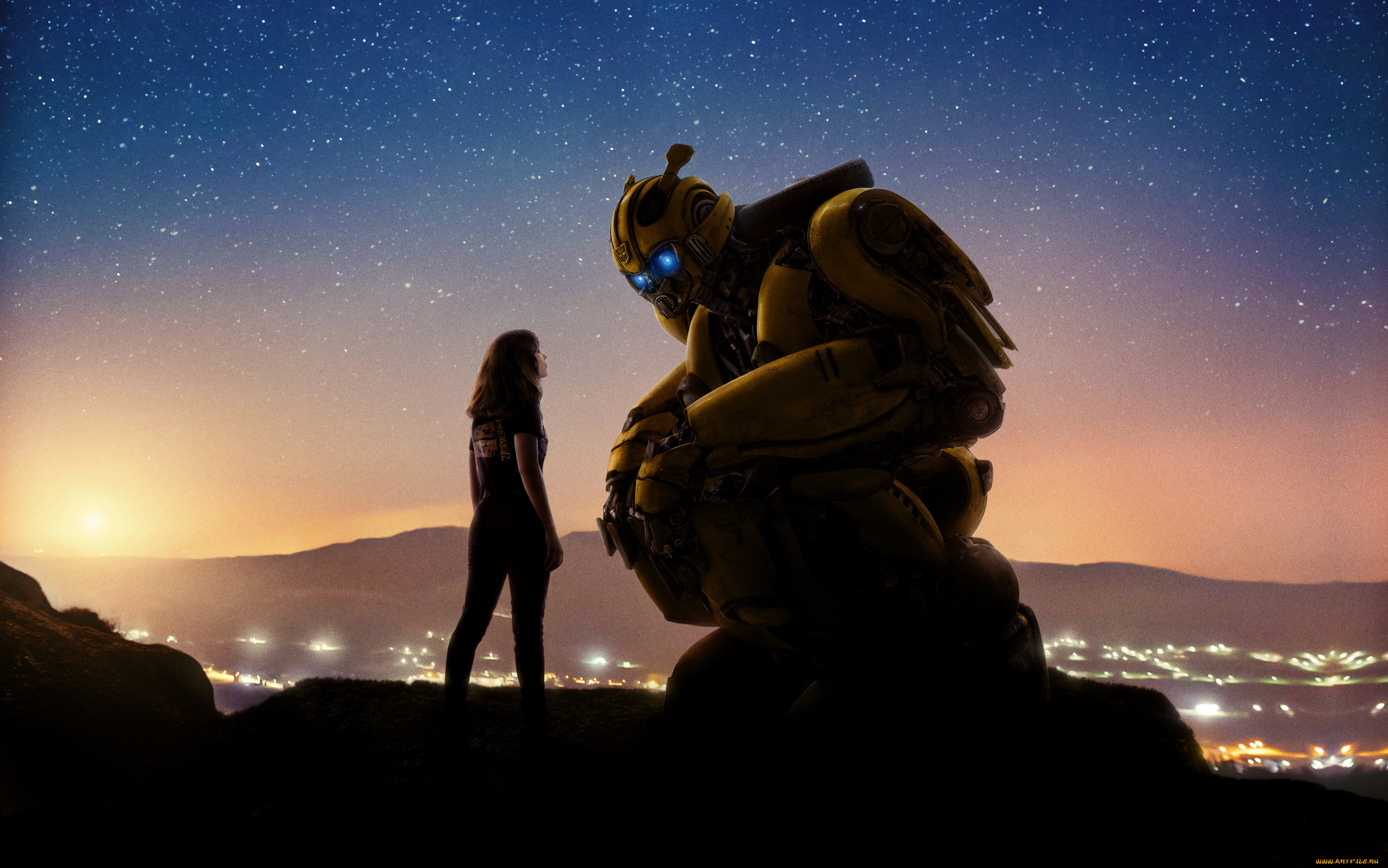  , bumblebee